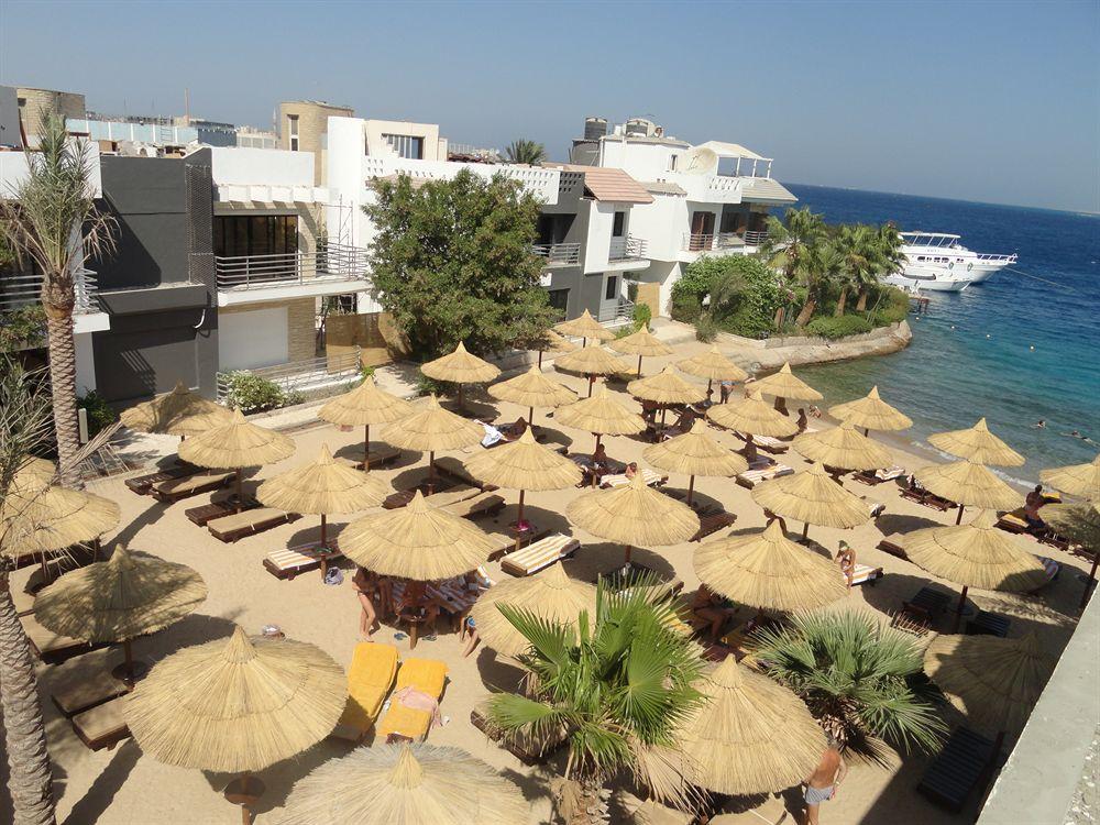 Premium Seagull Beach Resort Hurghada Esterno foto